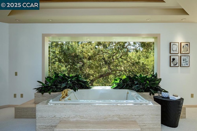 bathroom featuring a wealth of natural light