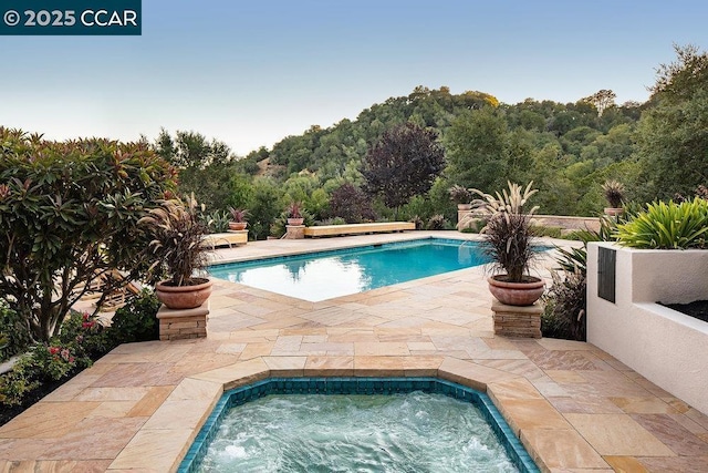 view of swimming pool with an in ground hot tub and a patio area