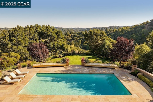 view of swimming pool with a patio and a lawn