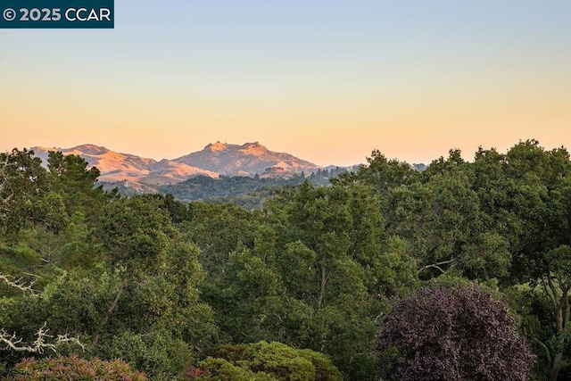 property view of mountains