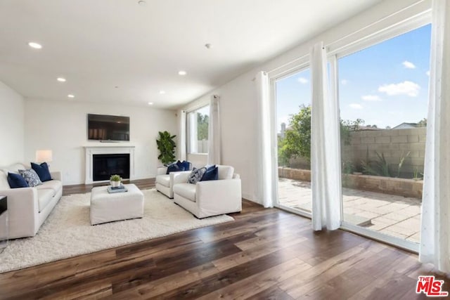 living room with wood-type flooring