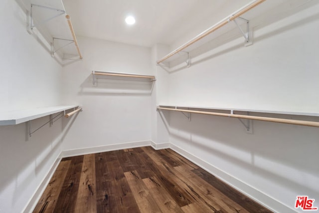 spacious closet featuring dark hardwood / wood-style floors