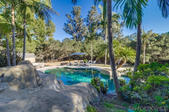 view of swimming pool featuring a patio area