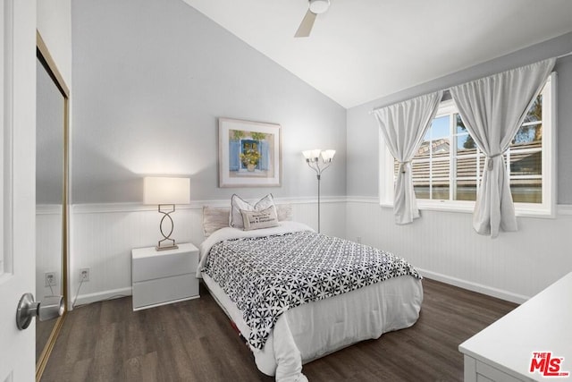 bedroom featuring lofted ceiling, dark wood-type flooring, ceiling fan, and a closet