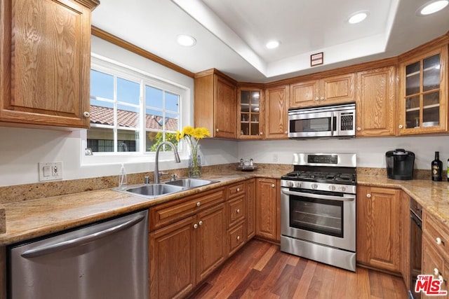 kitchen featuring sink, light stone counters, appliances with stainless steel finishes, dark hardwood / wood-style flooring, and a tray ceiling