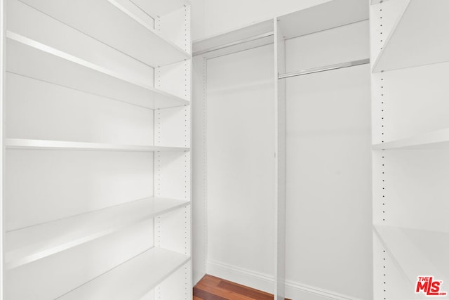 spacious closet featuring wood-type flooring