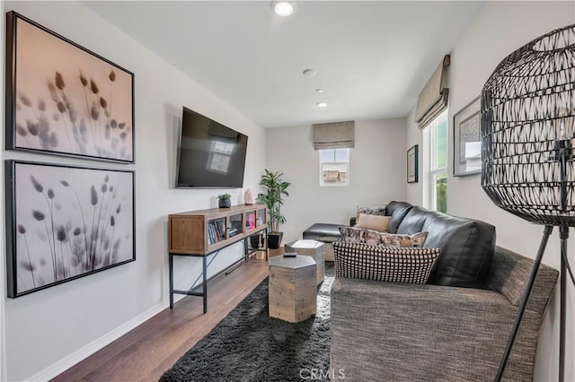 living room featuring dark wood-type flooring