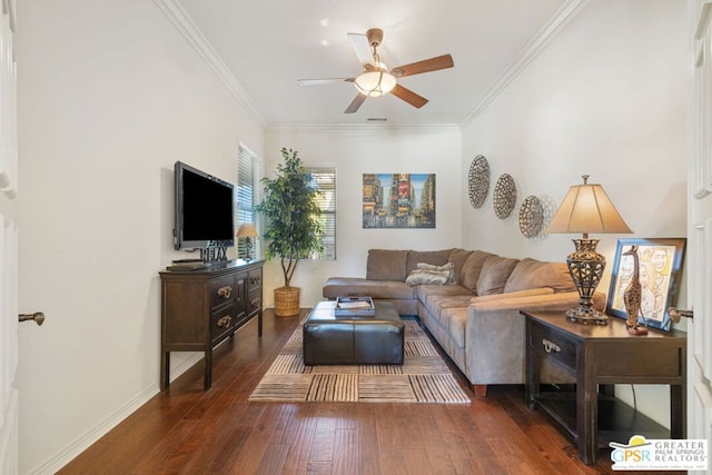 living room with ceiling fan, crown molding, and dark wood-type flooring