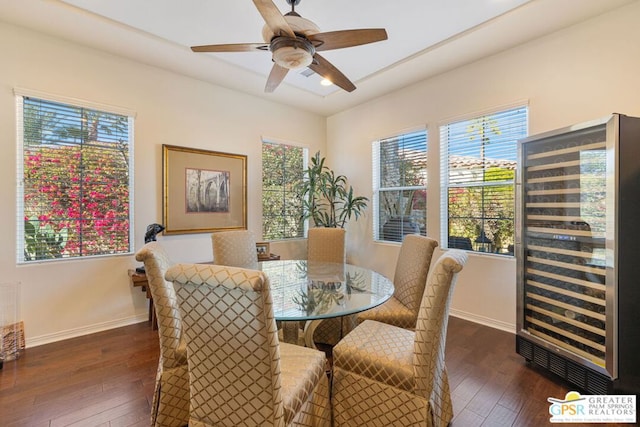 dining area with dark hardwood / wood-style floors, wine cooler, and ceiling fan