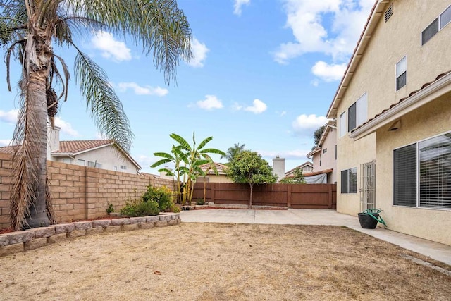 view of yard featuring a patio