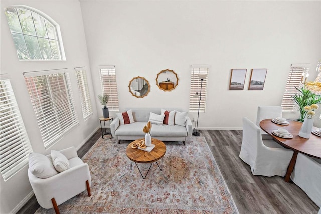 living room featuring dark hardwood / wood-style flooring