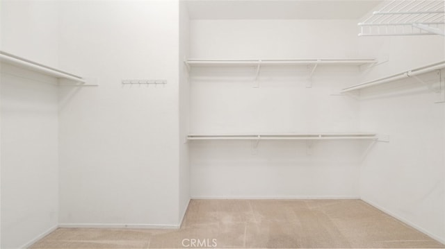 spacious closet featuring light carpet