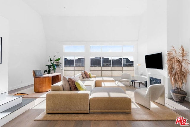 living room featuring plenty of natural light and light wood-type flooring