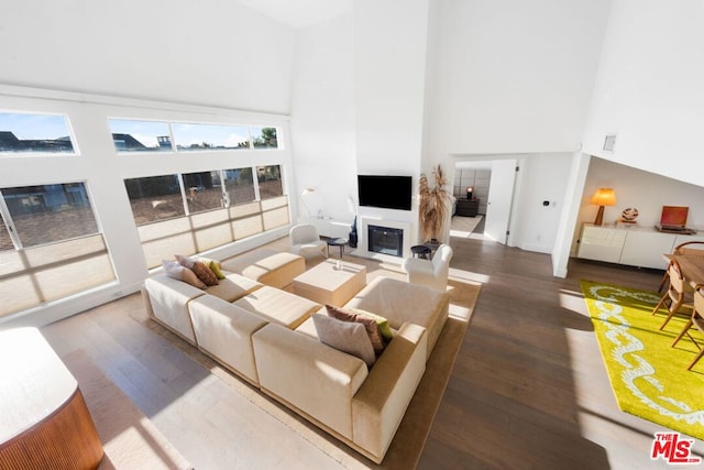 living room with a towering ceiling and wood-type flooring