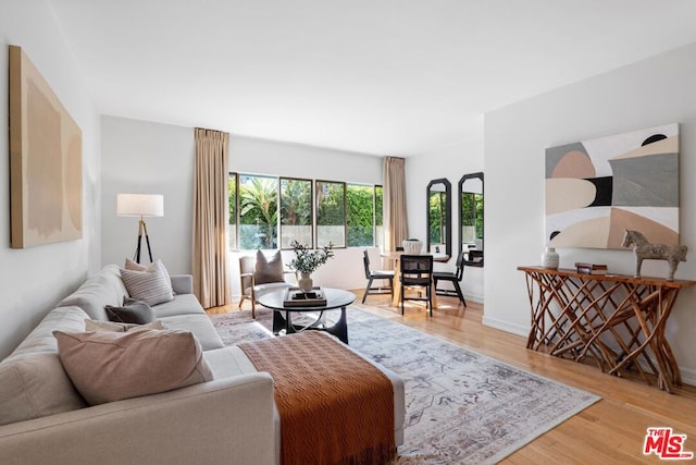 living room with light wood-type flooring