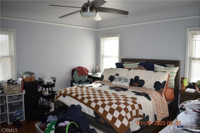 bedroom featuring ceiling fan, multiple windows, dark hardwood / wood-style floors, and crown molding