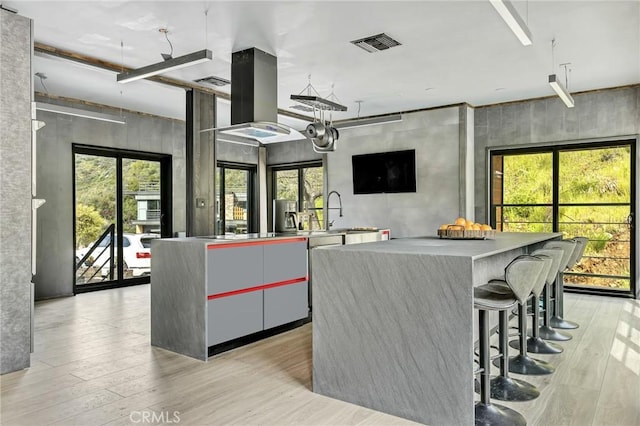 kitchen with light hardwood / wood-style flooring, island exhaust hood, and a spacious island