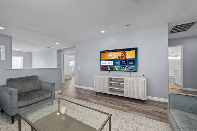 living room with wood-type flooring