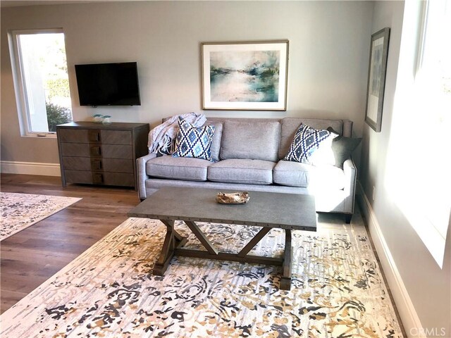 living room featuring hardwood / wood-style floors