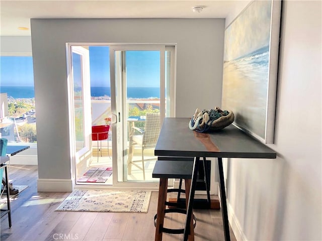 dining space with wood-type flooring, plenty of natural light, and a water view