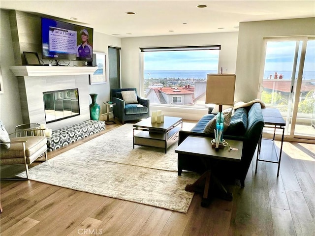 living room with a tiled fireplace and hardwood / wood-style flooring