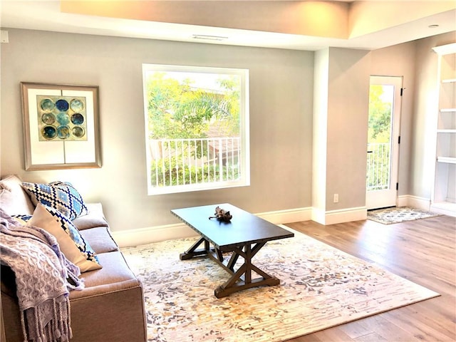 living room featuring hardwood / wood-style flooring