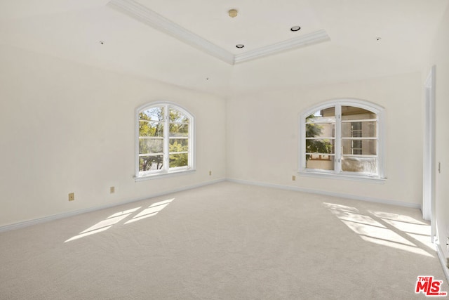 carpeted spare room featuring crown molding and a tray ceiling