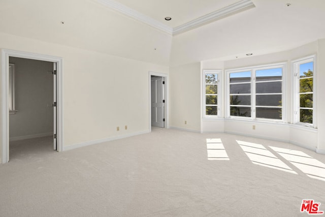 carpeted spare room with a raised ceiling and ornamental molding