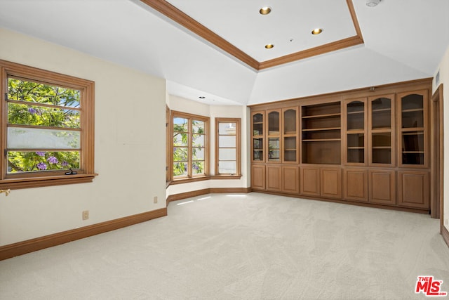 empty room with ornamental molding, plenty of natural light, a tray ceiling, and light carpet