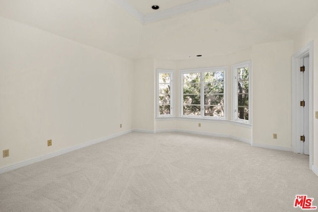 carpeted spare room with crown molding