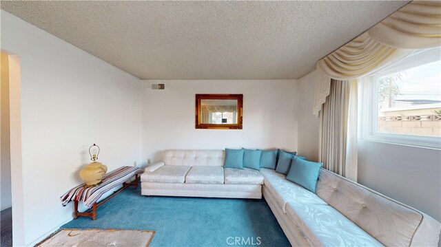 living room with carpet flooring and a textured ceiling