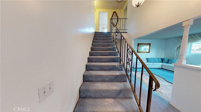 stairs with carpet flooring