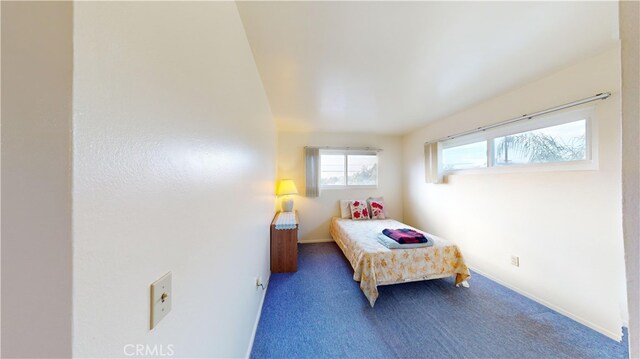 bedroom with carpet flooring