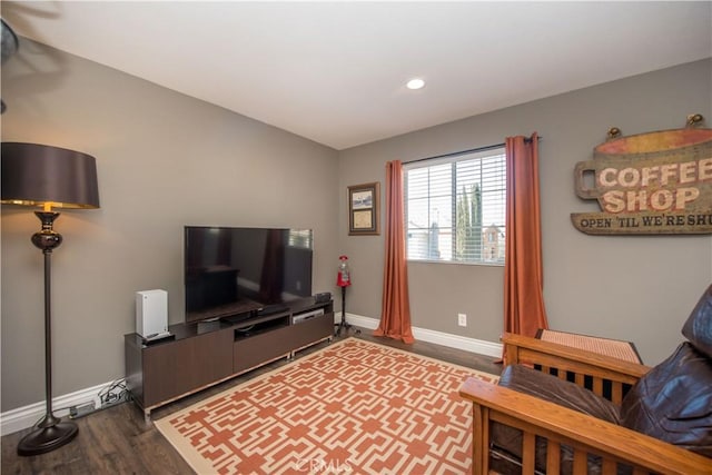 living room with wood-type flooring