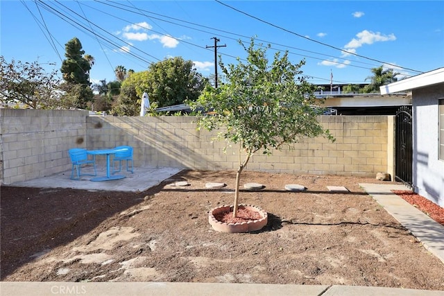 view of yard featuring a patio area