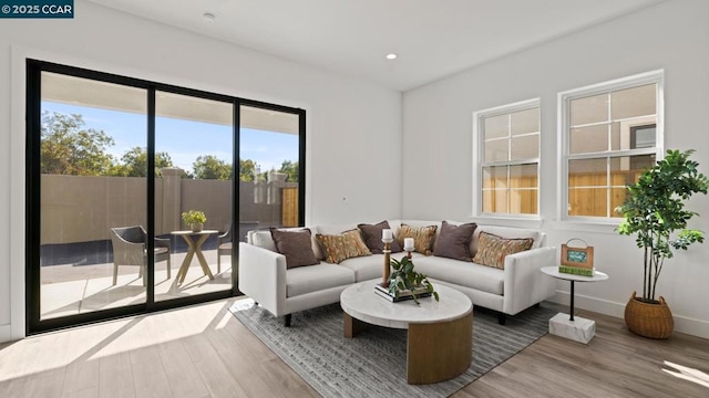 living room featuring hardwood / wood-style flooring