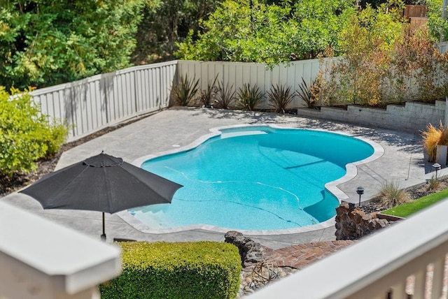 view of pool featuring a patio