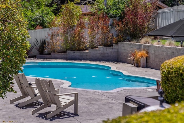 view of pool with a patio area