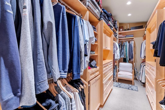 spacious closet featuring light colored carpet