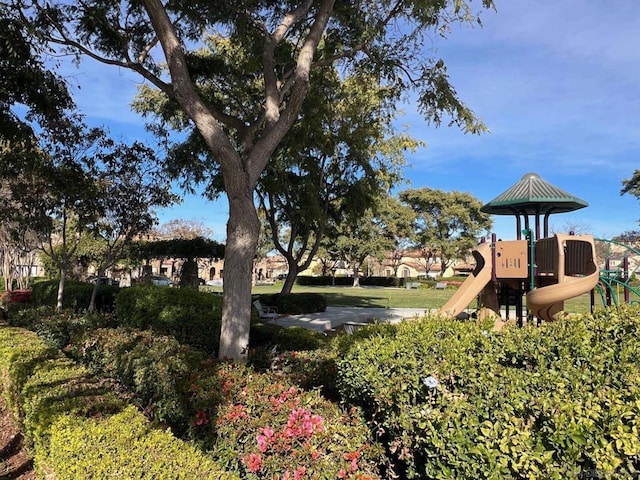 view of jungle gym