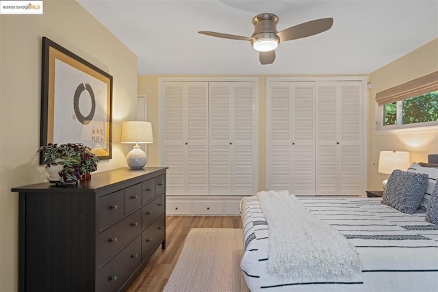 bedroom featuring wood-type flooring, multiple closets, and ceiling fan