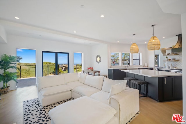 living room featuring light hardwood / wood-style floors