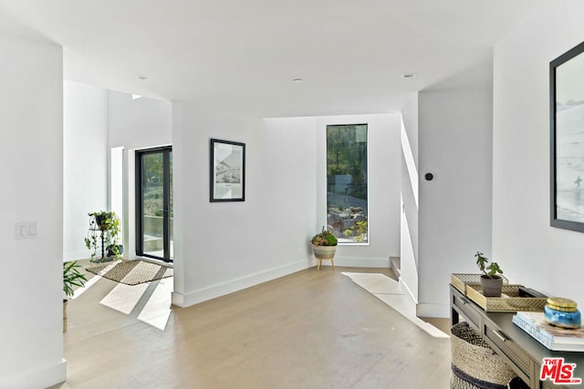 foyer entrance featuring light hardwood / wood-style flooring