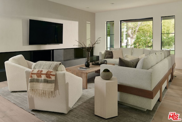 living room with hardwood / wood-style floors