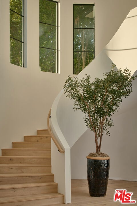 staircase featuring hardwood / wood-style floors