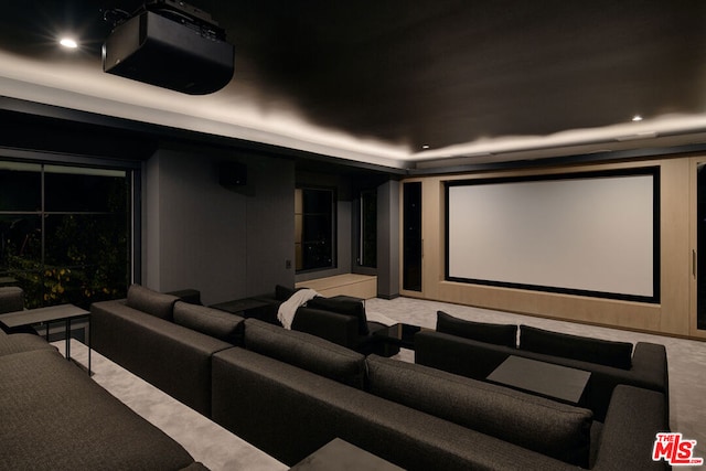 cinema with light colored carpet and a tray ceiling