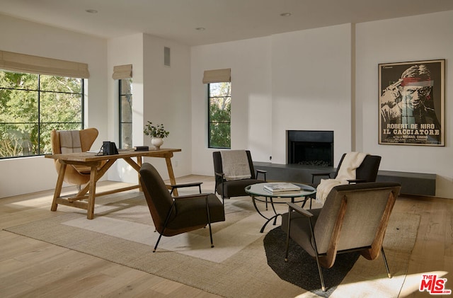 living area featuring light hardwood / wood-style flooring