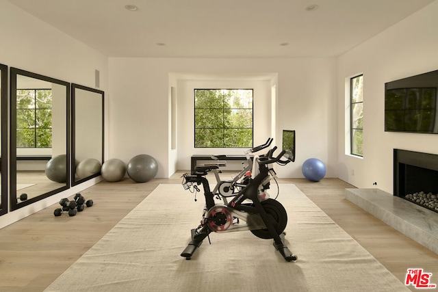 workout room with light hardwood / wood-style floors and plenty of natural light