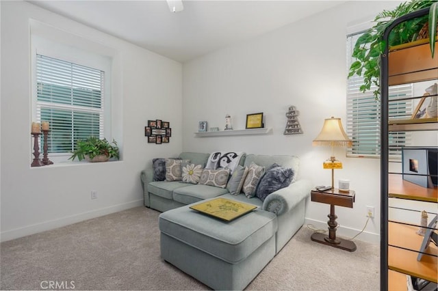 view of carpeted living room