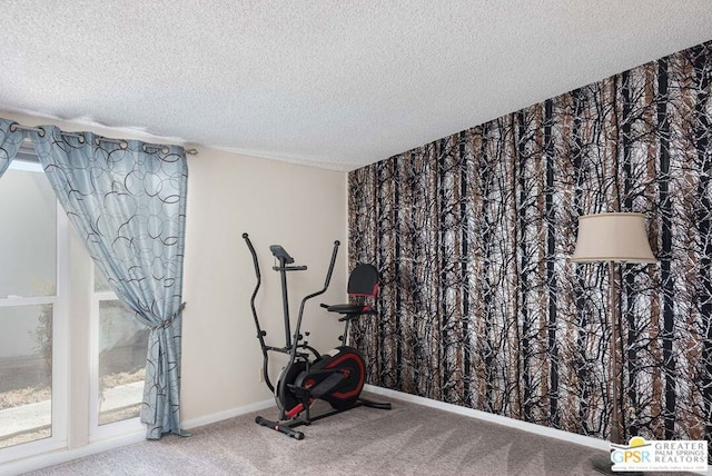 exercise room with a textured ceiling and carpet flooring